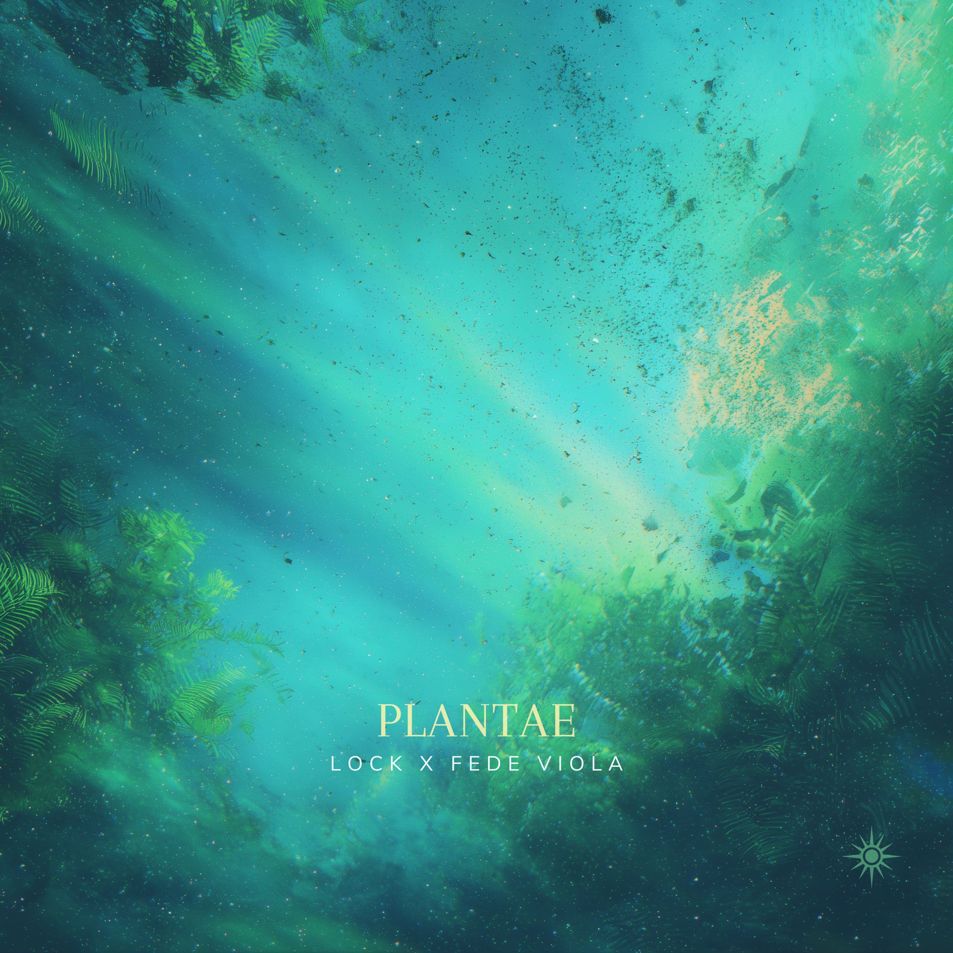 Plantae